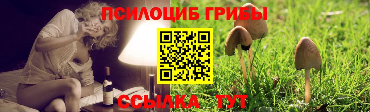 Электросталь  наркота  Вход с VPN  Псилоцибиновые грибы мухоморы 